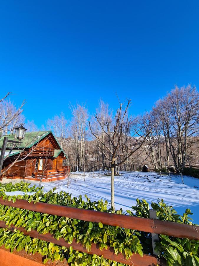 Vikendica Crkvina Tatil Evi *