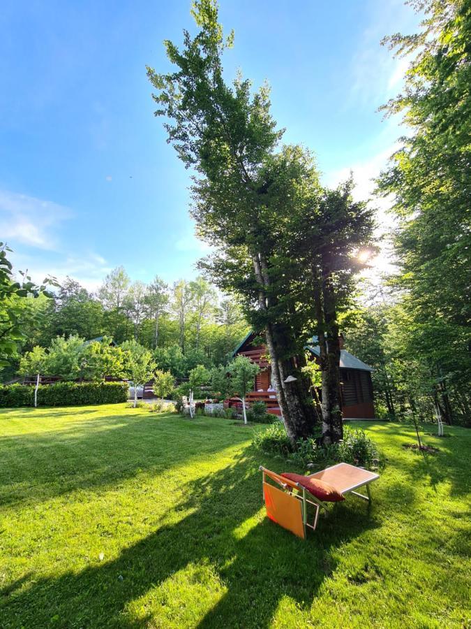 Vikendica Crkvina Tatil Evi Kolaşin