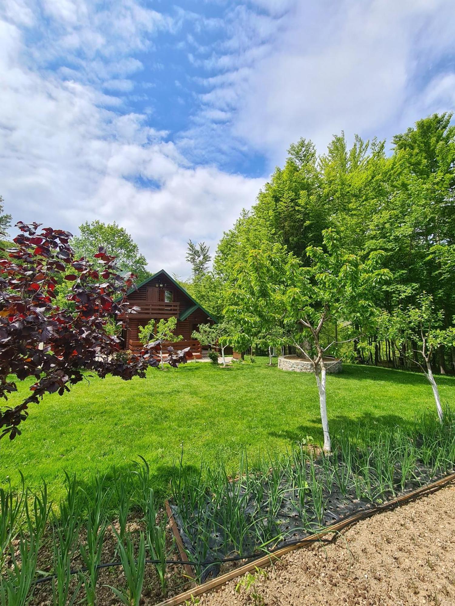 Vikendica Crkvina Tatil Evi Kolaşin